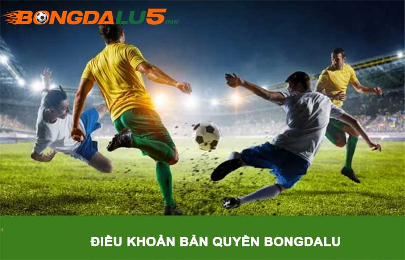 Điều khoản sử dụng bản quyền tại bongdalu