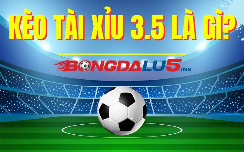 Thông tin kèo tài xỉu 3.5